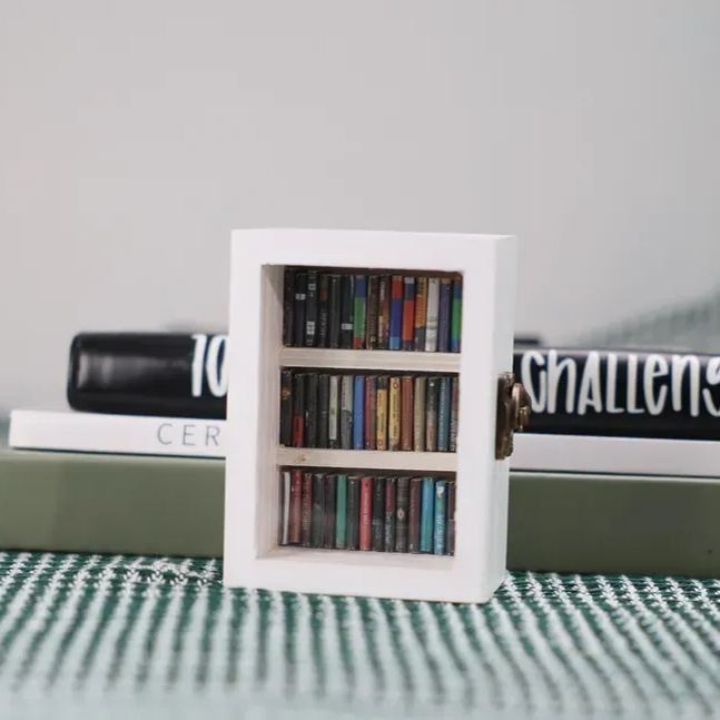 Pocket Edition Anxiety Bookcase, MINI bookcase, Miniature Landscape, Miniature Bookcase, Book Lover Gift, Study Decoration - soufeelmy