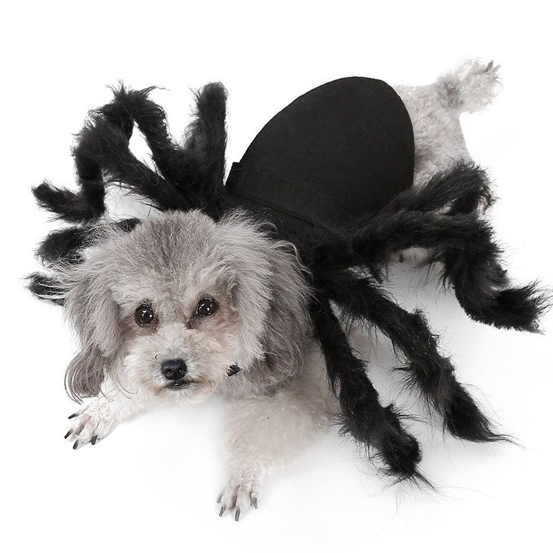 Halloween Spider Pet Costume – Funny Plush Spider Harness for Dogs & Cats, Creepy Crawly Costume for Halloween Parties & Photos - soufeelmy
