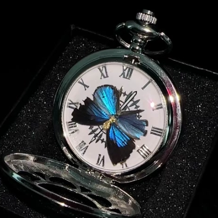 Vintage Inspired Butterfly Spinner Locket Pocket Watch Pendant Necklace - soufeelmy