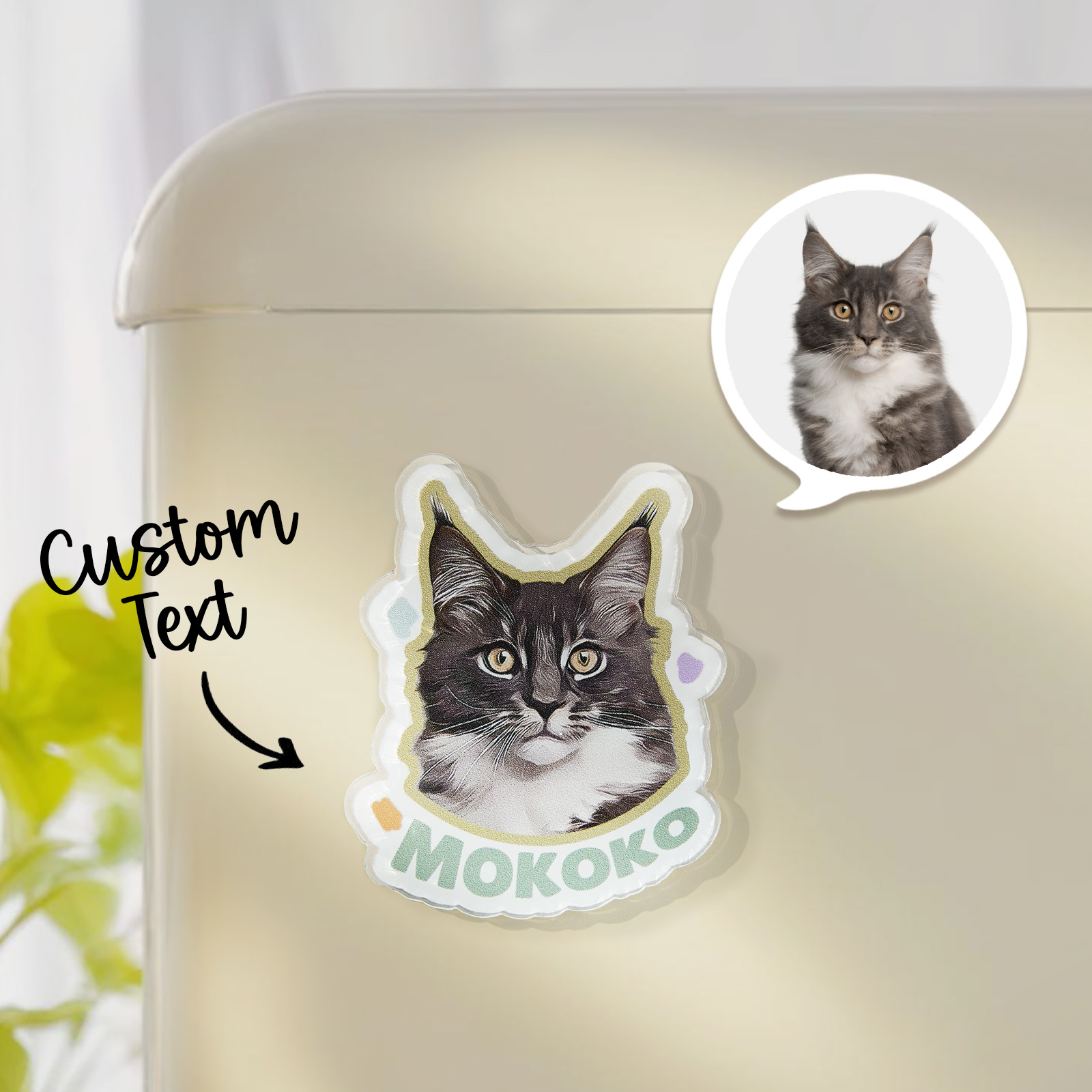 Personalized Pet Photo Acrylic Fridge Magnets Custom Image Keepsake - soufeelau