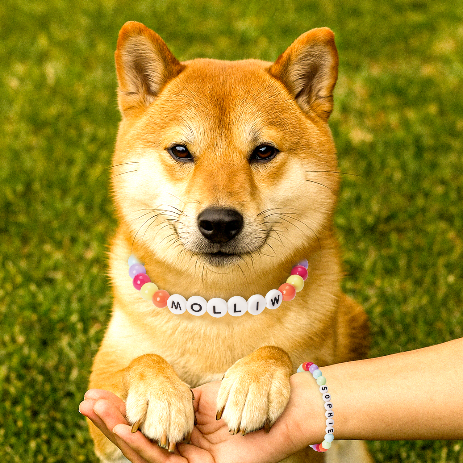 Personalized  Name Beaded Dog Collar with Friendship Bracelet - soufeelau