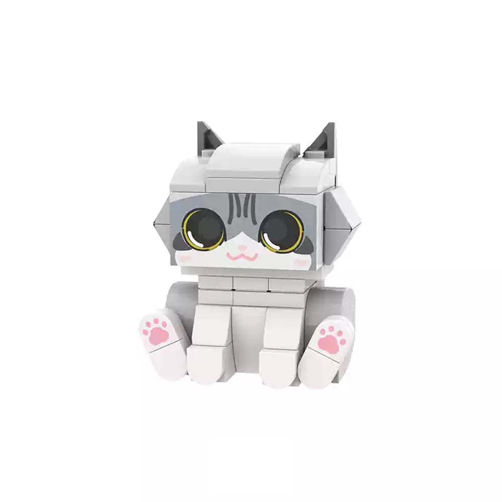 American Shorthair - soufeelau