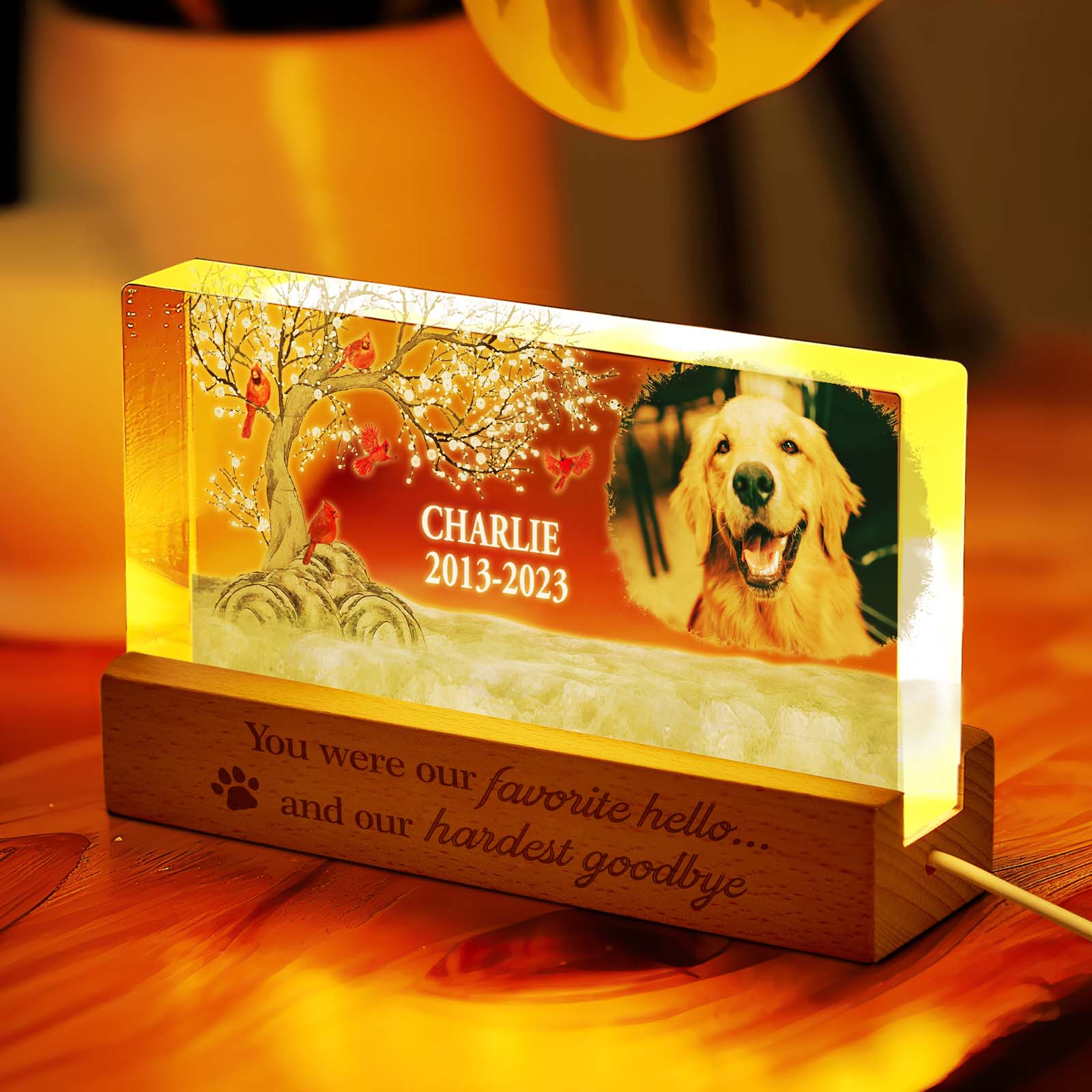 Personalized Pet Photo Night Light Custom Photo Light Memorial Gift for Pet Lover - soufeelau
