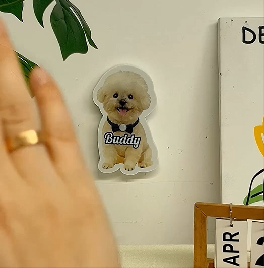 Personalized Cat & Dog Motion Sensor Wall Lamp Custom Pet Photo Night Light for Pet Lover