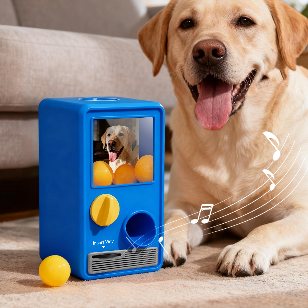 Personalized Music and Photo Music Gachapon Machine Custom Song Mini Record Box Retro Gifts for Pet Lover - soufeelau