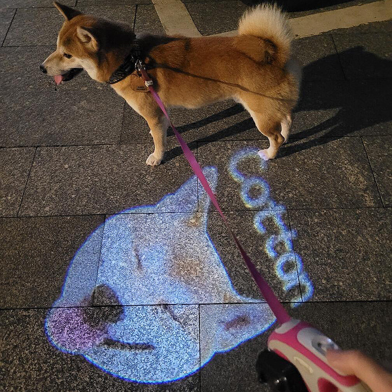 Custom Pet Collar Projector Light Nighttime Anti-Loss Light Dog Social Light Gifts for Pet Lovers (No Collar) - soufeelau