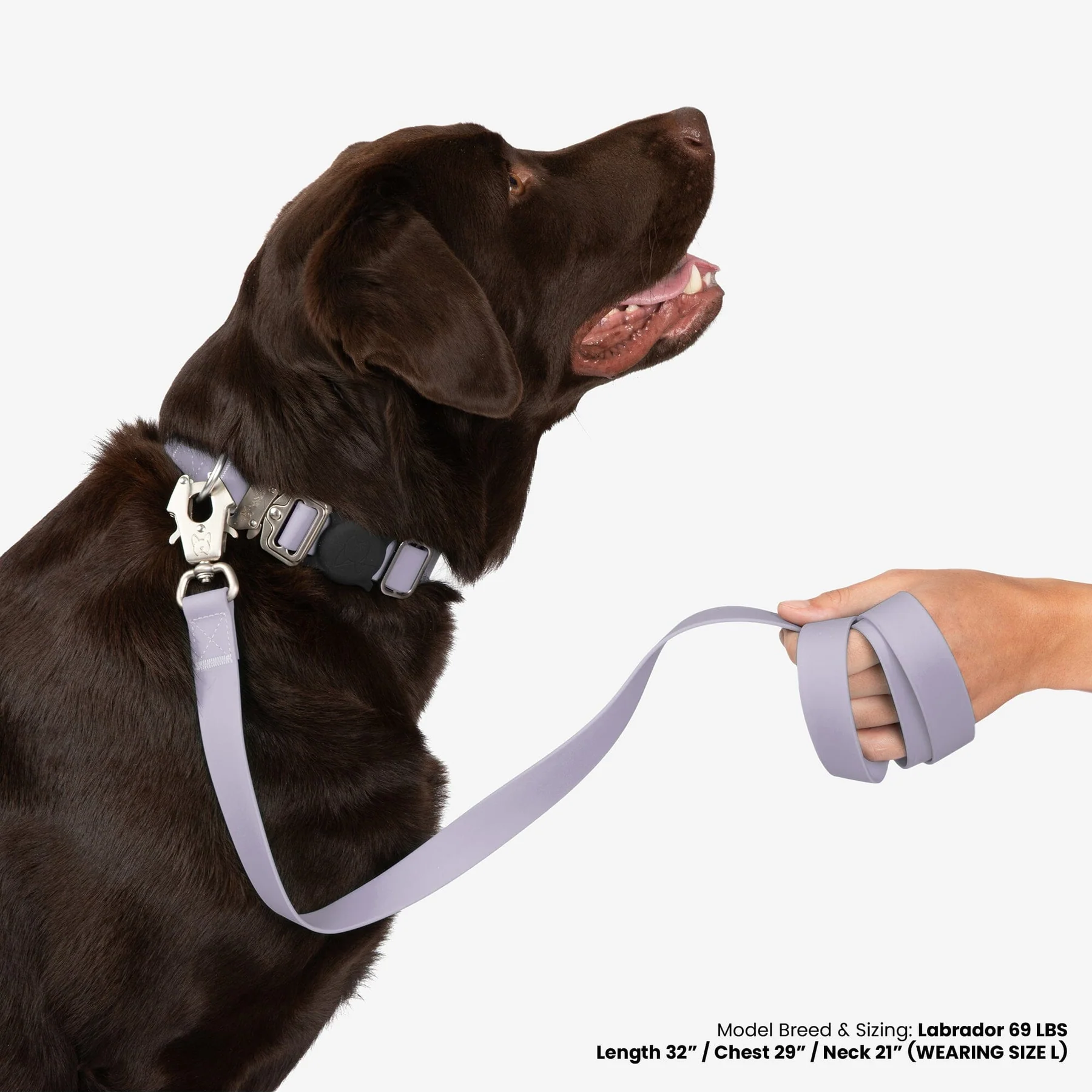 Nandog Waterproof Poly-Flex Sport Dog Leash and Collar