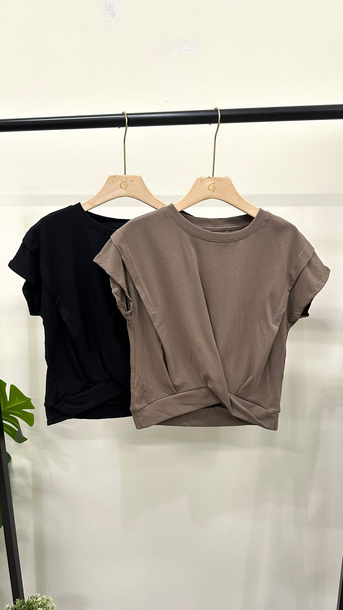 (D119)Set