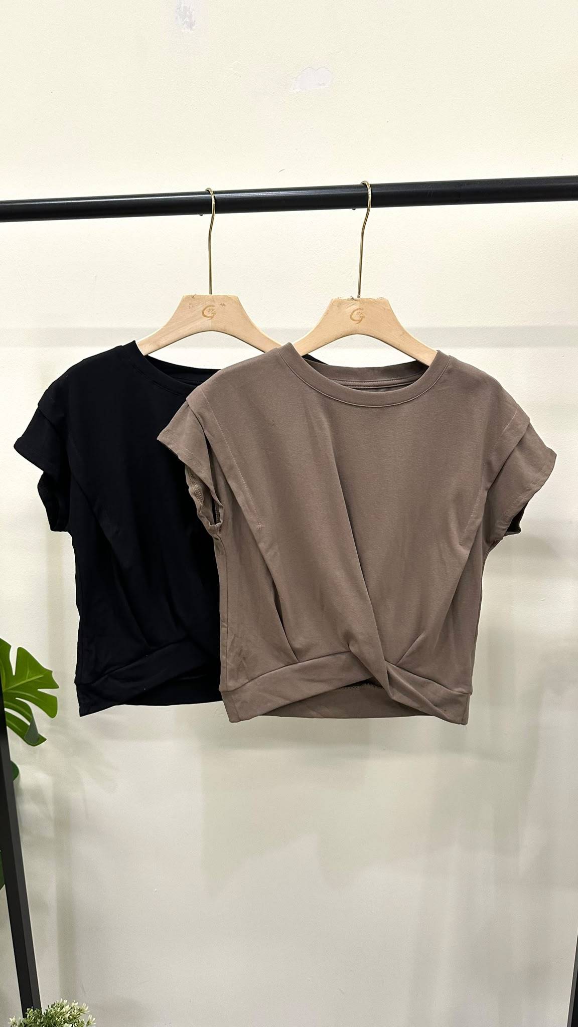 (D119)Set