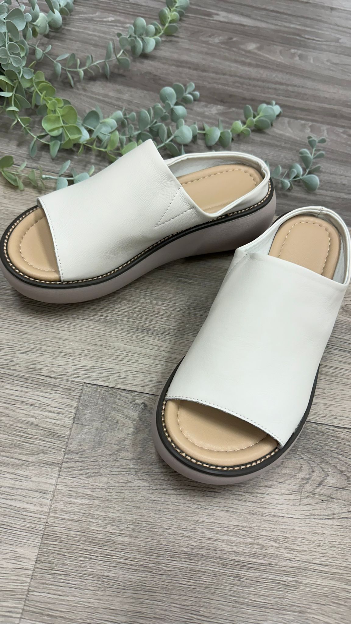 (D134)Shoe