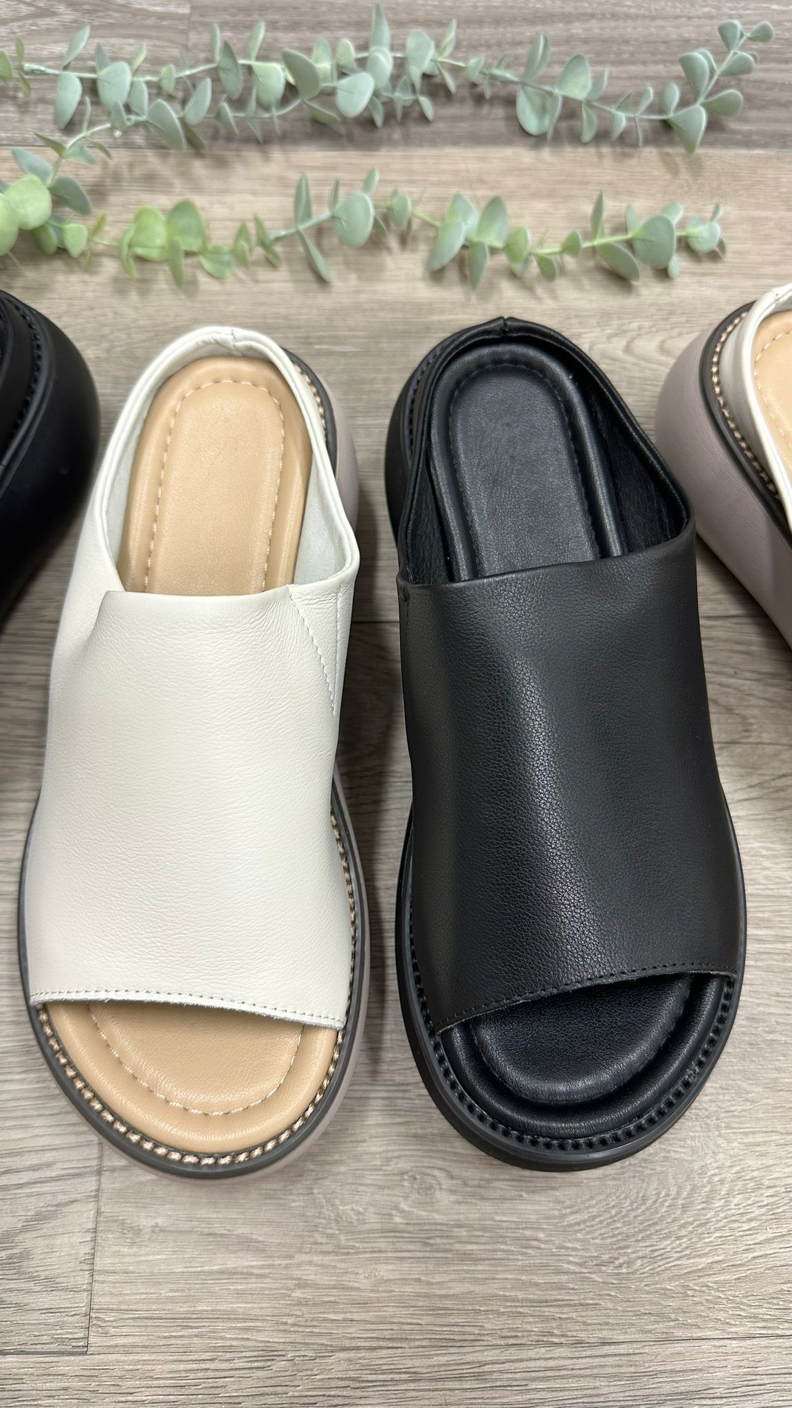 (D134)Shoe