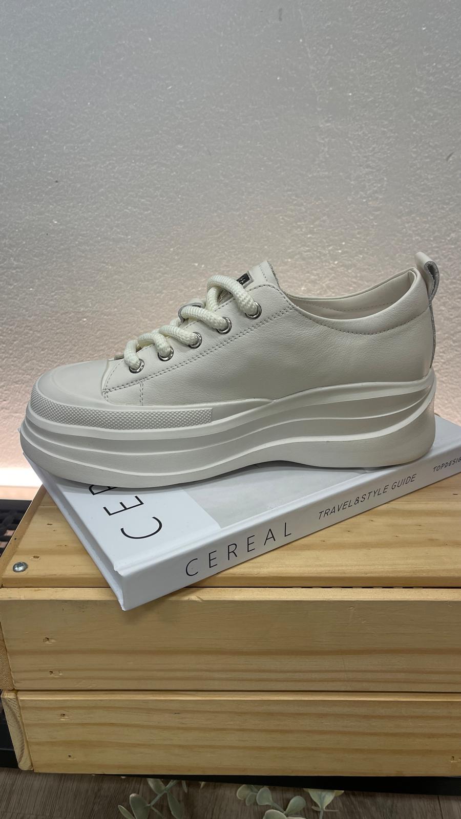 *PO 1-2MTHS* (D141)Sakura Shoe