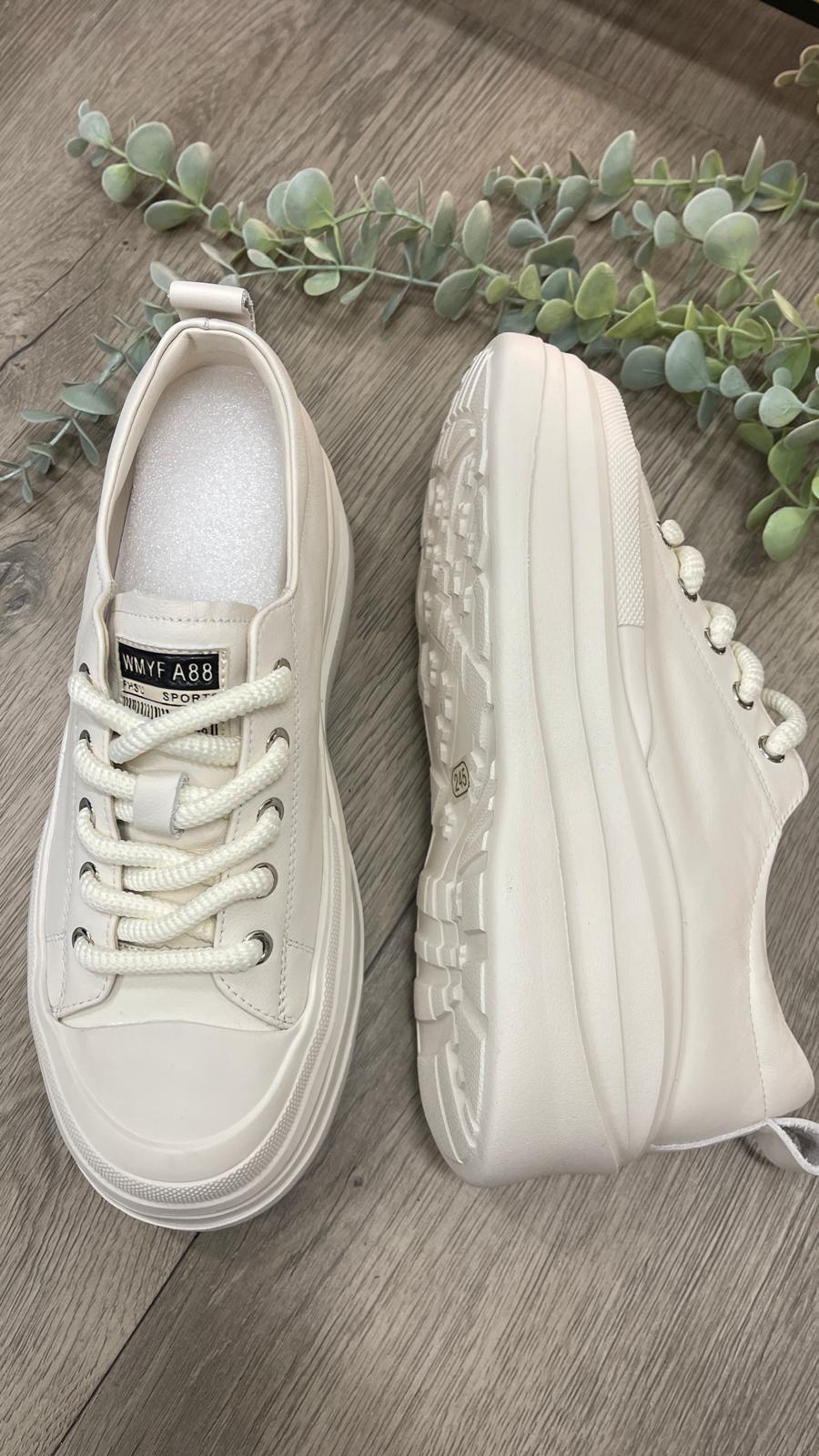 *PO 1-2MTHS* (D141)Sakura Shoe