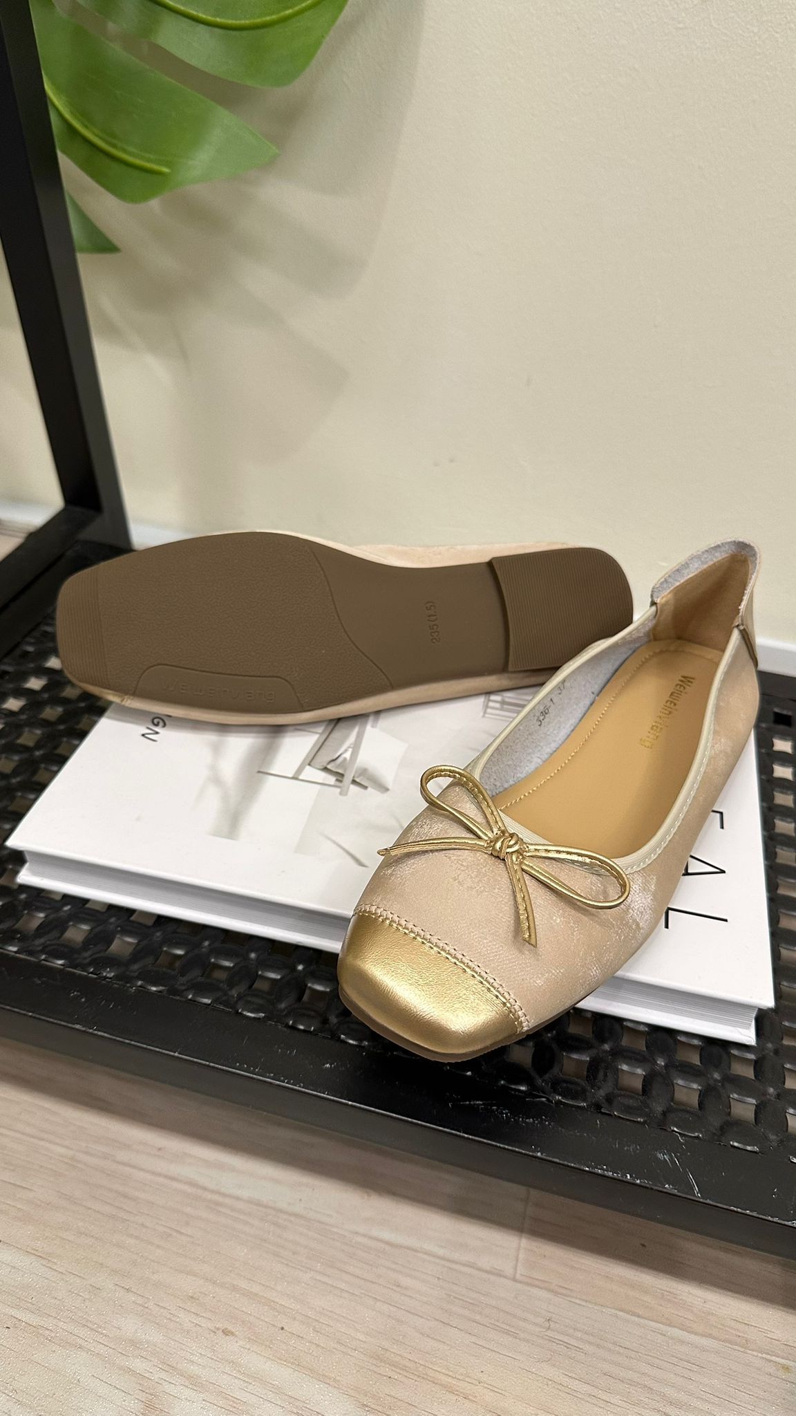 (D198)Shoe