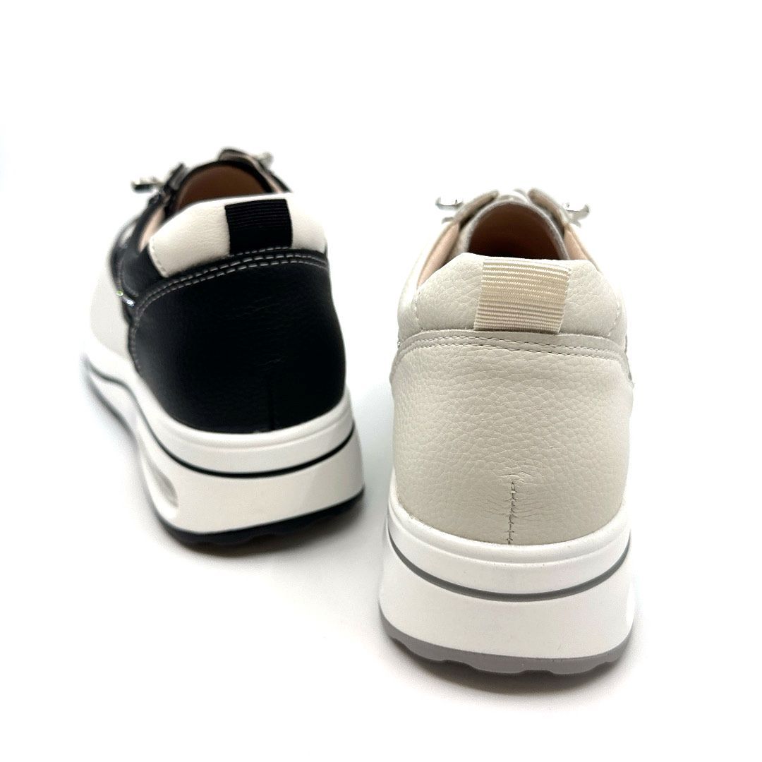 (D217)Shoe