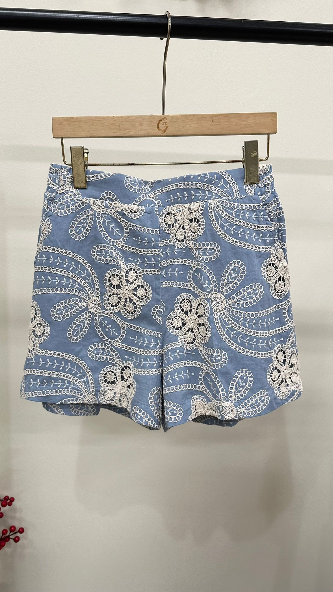 (D2281)Shorts