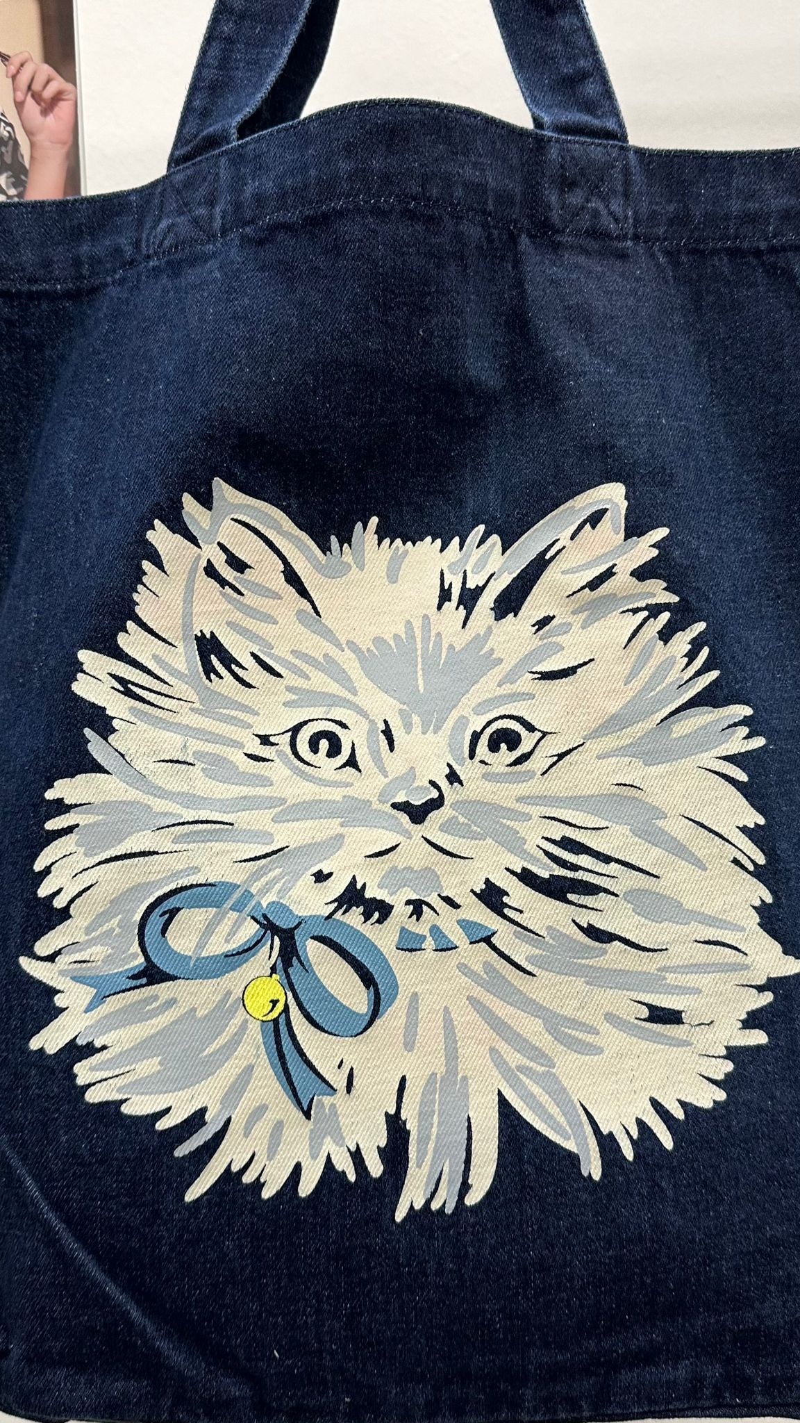 (D308)Denim Bag