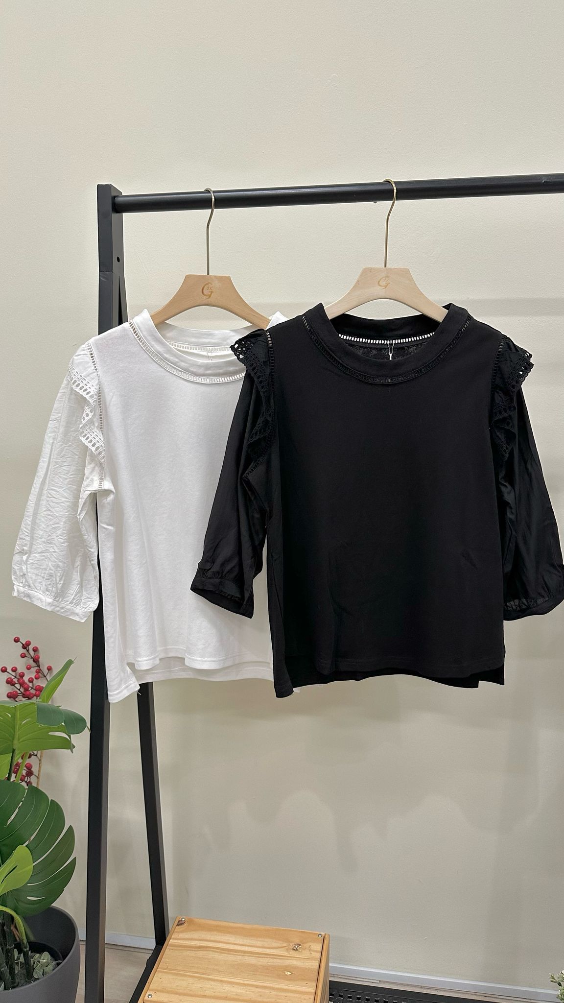 (D3707)Top