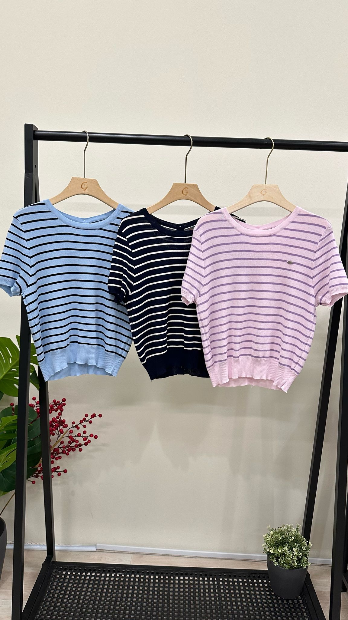(D3748)Top
