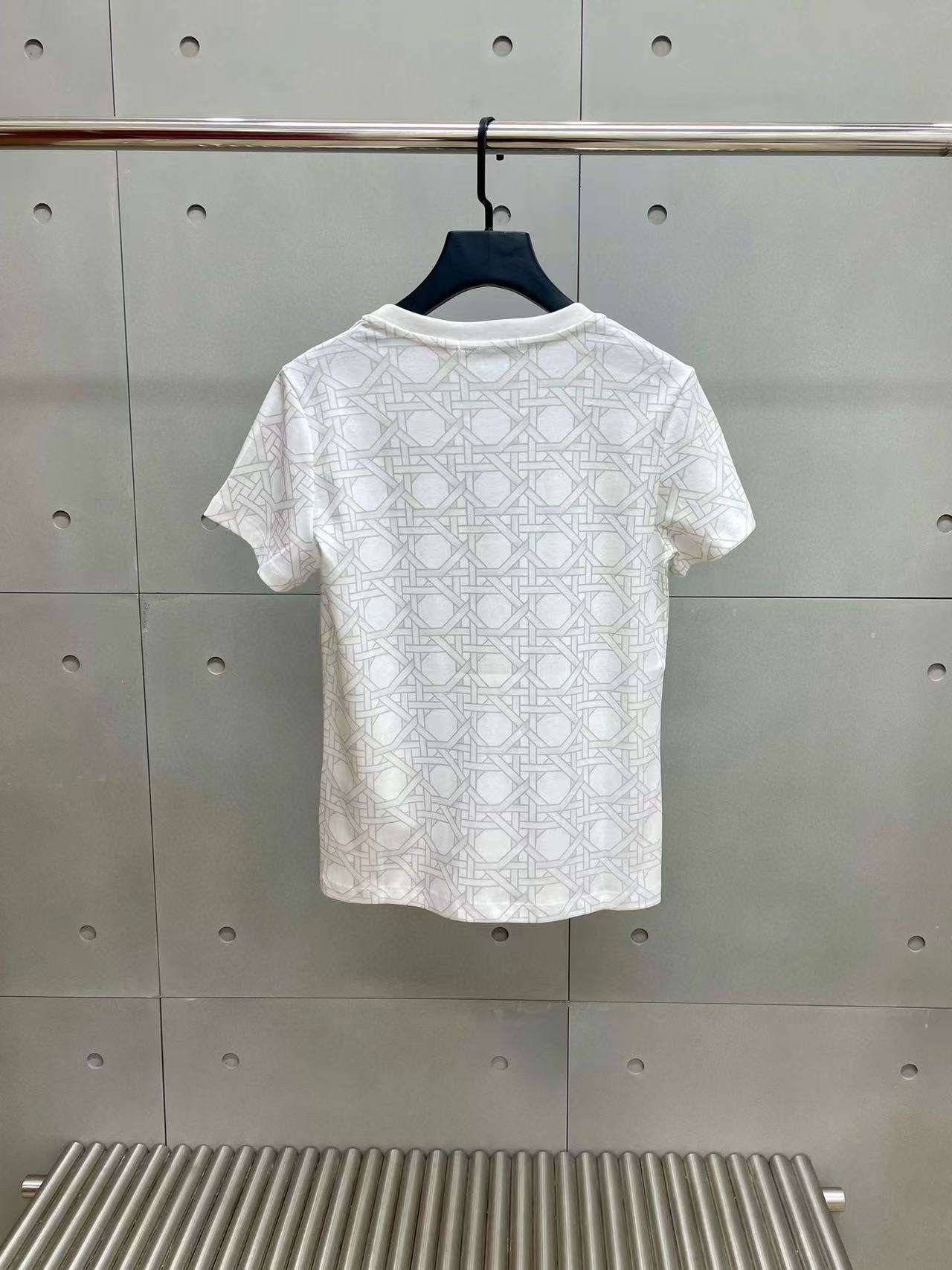 DI0Rチェック柄リトルビーCD刺繍Tシャツ【50％割引+送料無料】