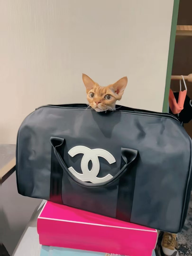 ðCHANE1æ°ãããã©ãã«ããã°ðâ