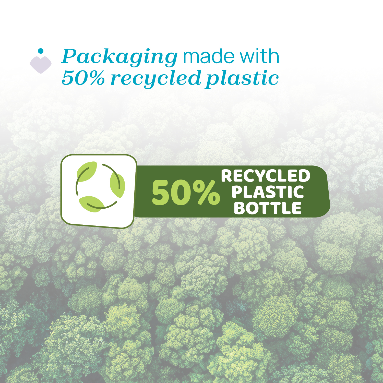 Feeding Bottles Dishes Detergent (300ml)