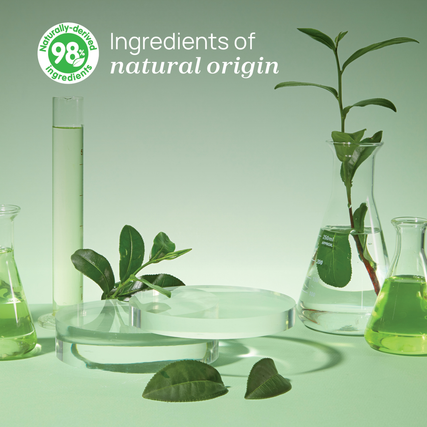 Feeding Bottles Dishes Detergent (300ml)