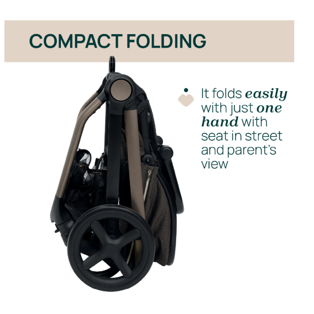 [Free Gift Worth RM199] MYSA Bronze Lizard Re_Lux