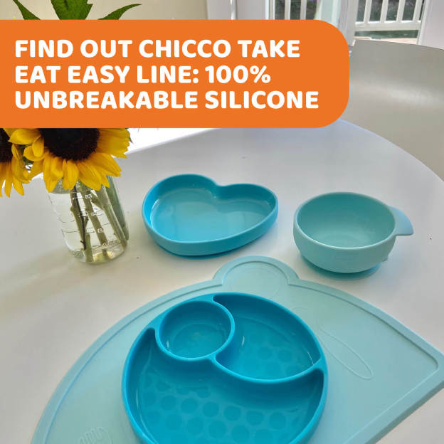 Easy Silicone Multi-Portion Tray