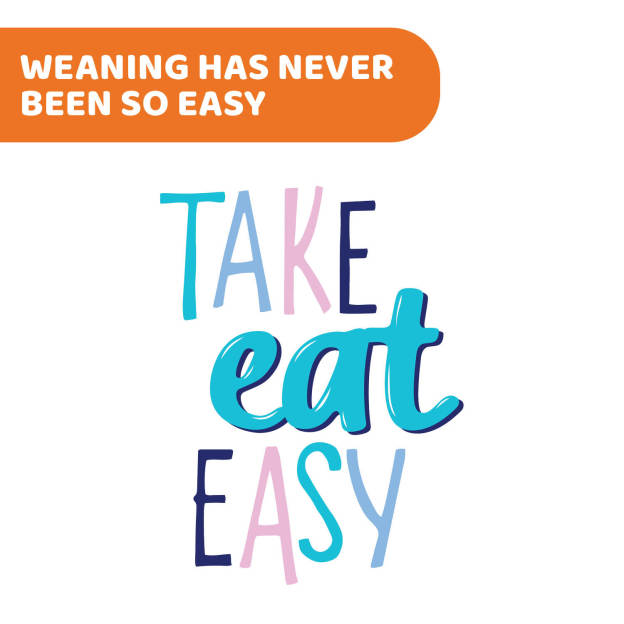 Easy Silicone Multi-Portion Tray