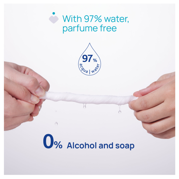 Biodegradable Wipes With Flip Cover 60pcs