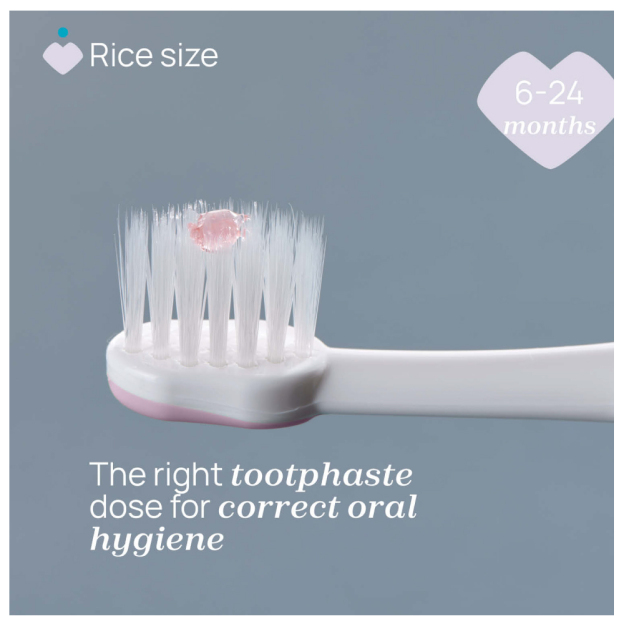 First Teeth Toothbrush 6-36M