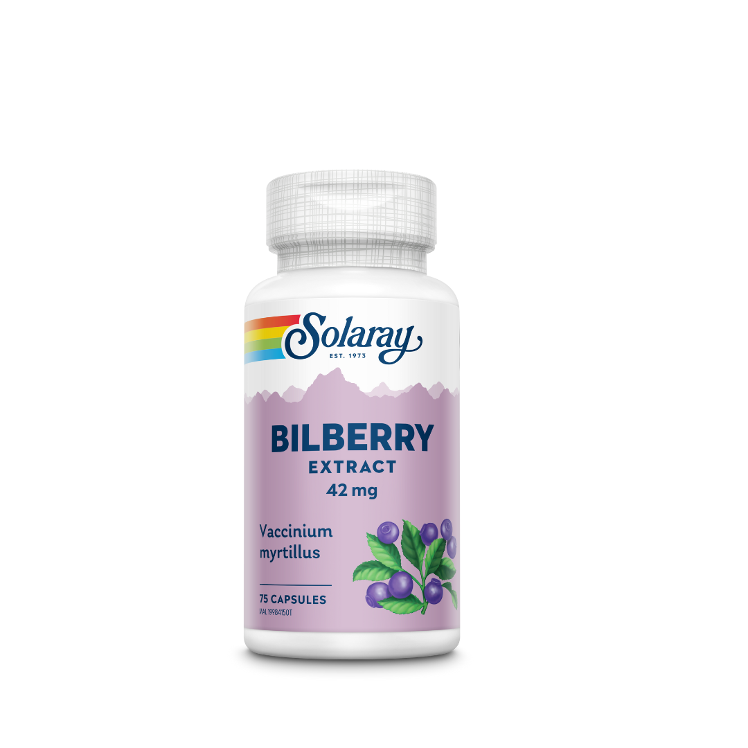 Bilberry Extract For Eye Health