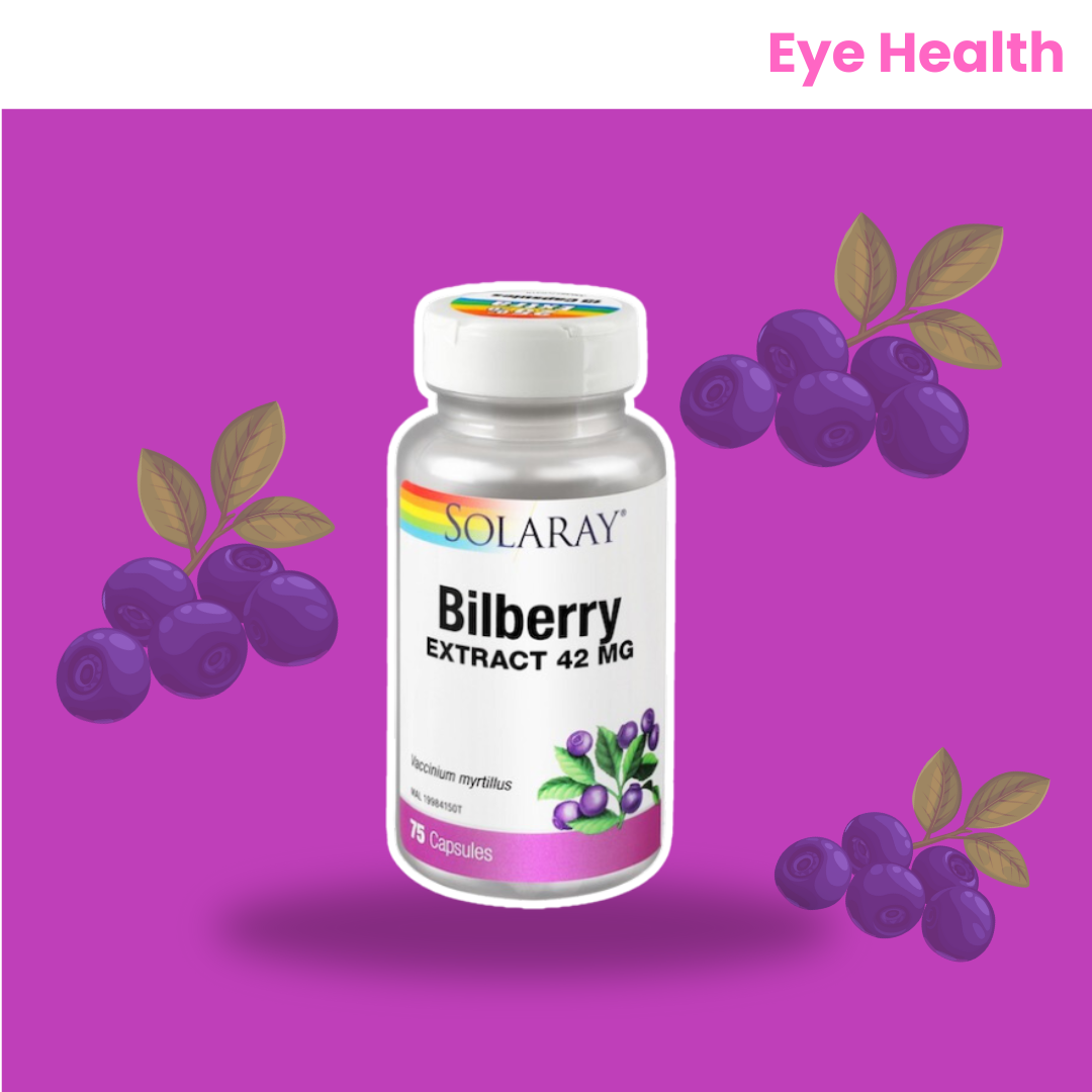 Bilberry Extract For Eye Health
