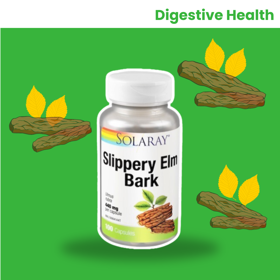Slippery elm bark for digestive health