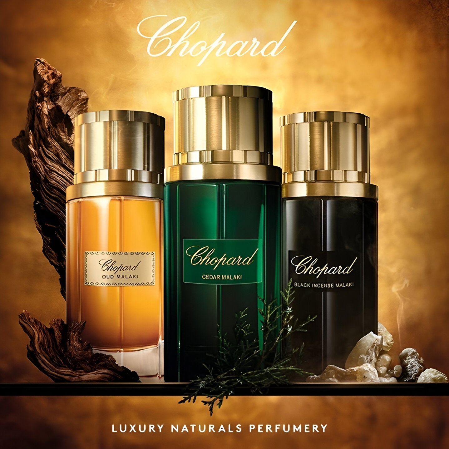 Chopard Black Incense Malaki EDP