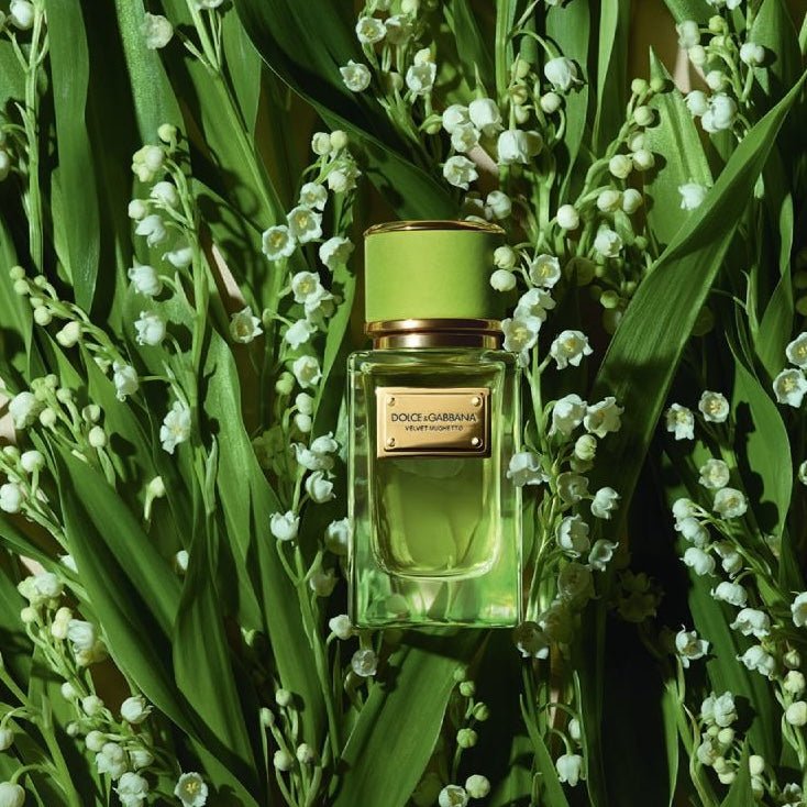 Dolce & Gabbana Velvet Cypress EDP