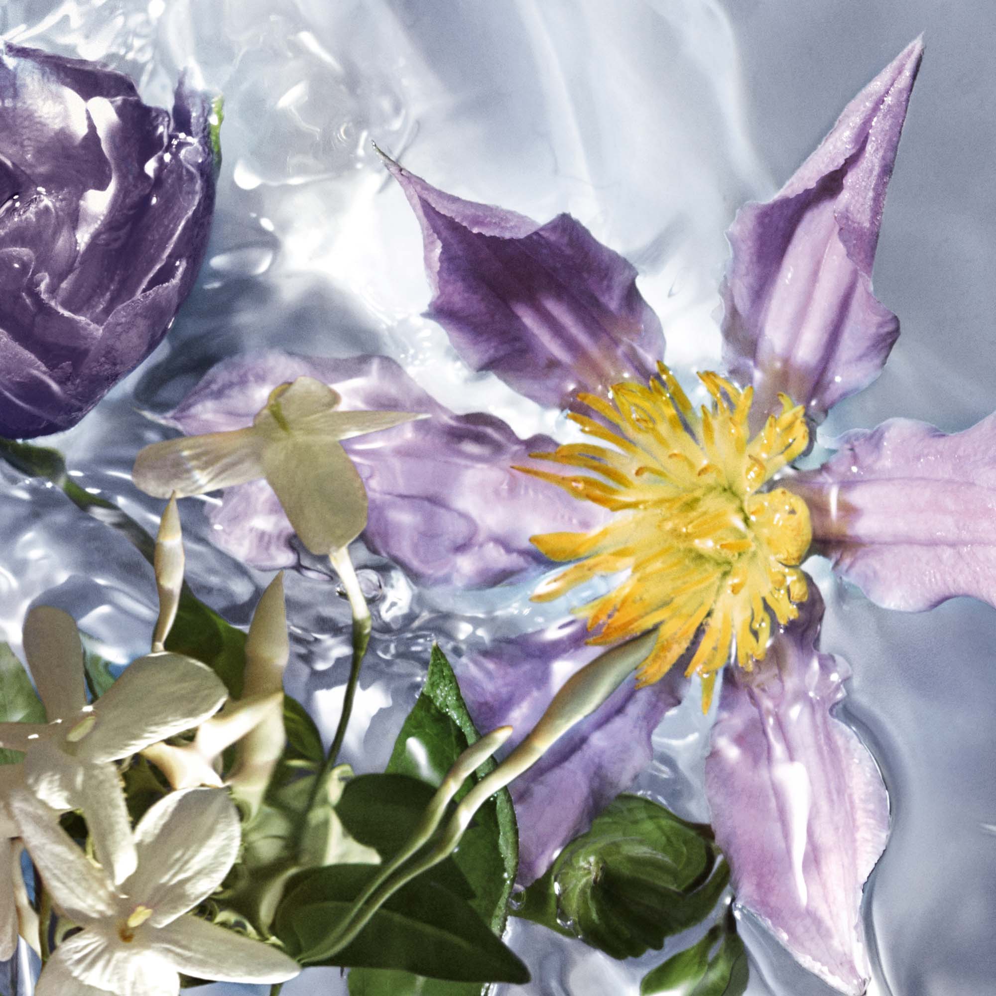 Guerlain Aqua Allegoria Flora Salvaggia EDT