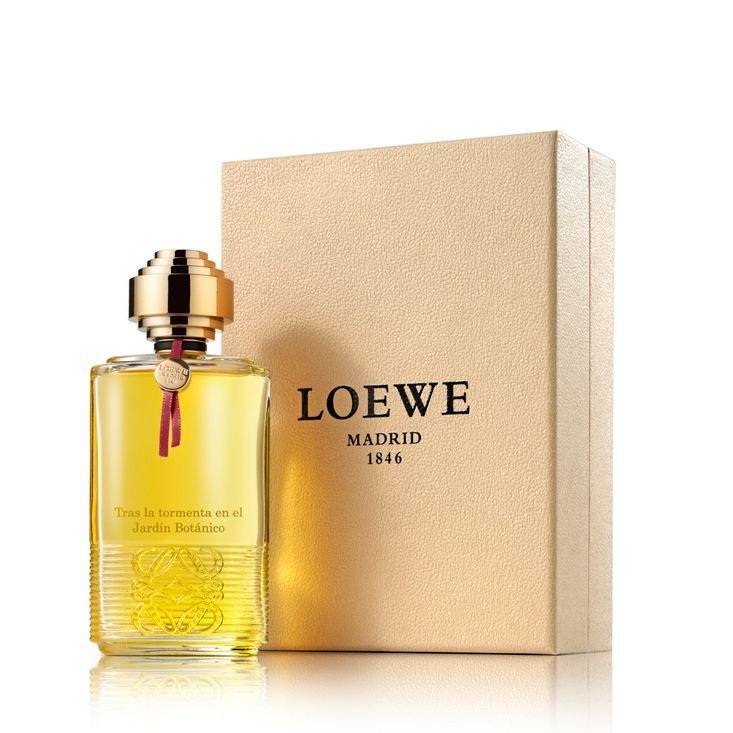 Loewe Tras La Tormenta Jardin Botanico Jardin Botanico EDP