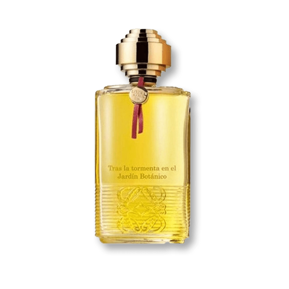 Loewe Tras La Tormenta Jardin Botanico Jardin Botanico EDP