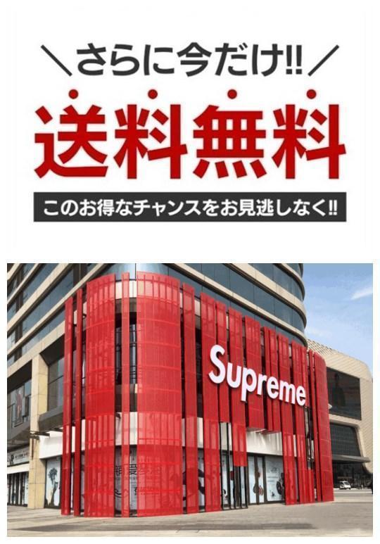 【The North Face × Supreme】【全国送料無料】数量限定発売  ダウンジャケット