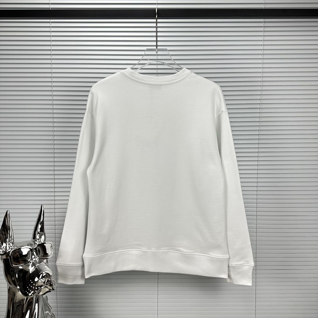 DIOR 2023新作パーカー ルームウェア  ディオール ロゴブランド トップス  男女兼用