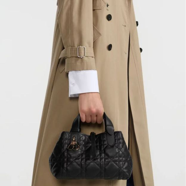 Dior Toujours バッグ スモール