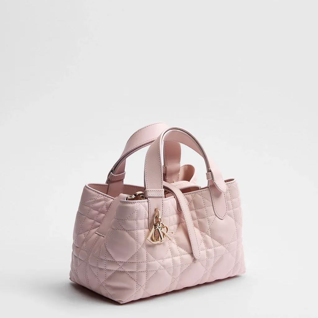 Dior Toujours バッグ スモール