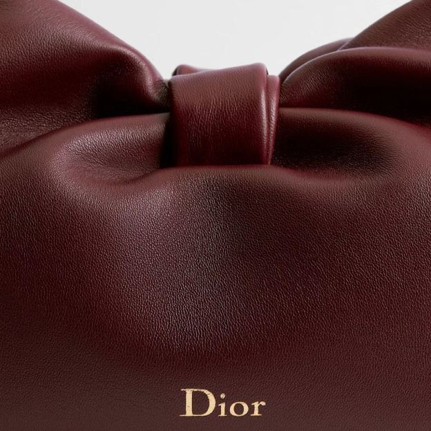 Dior Bow バッグ ミディアム