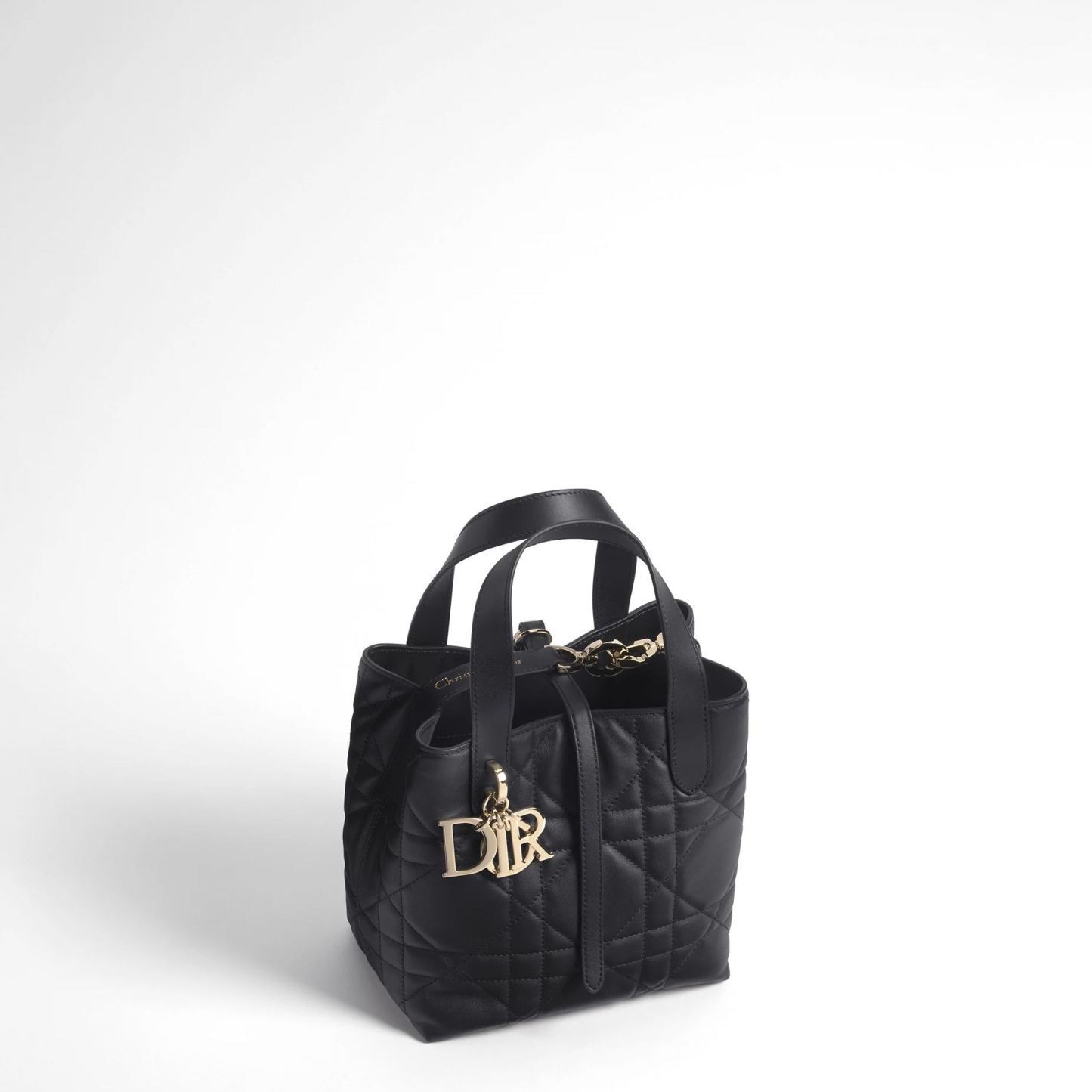 【大人気】Dior Toujours バーティカル トートバッグ スモール