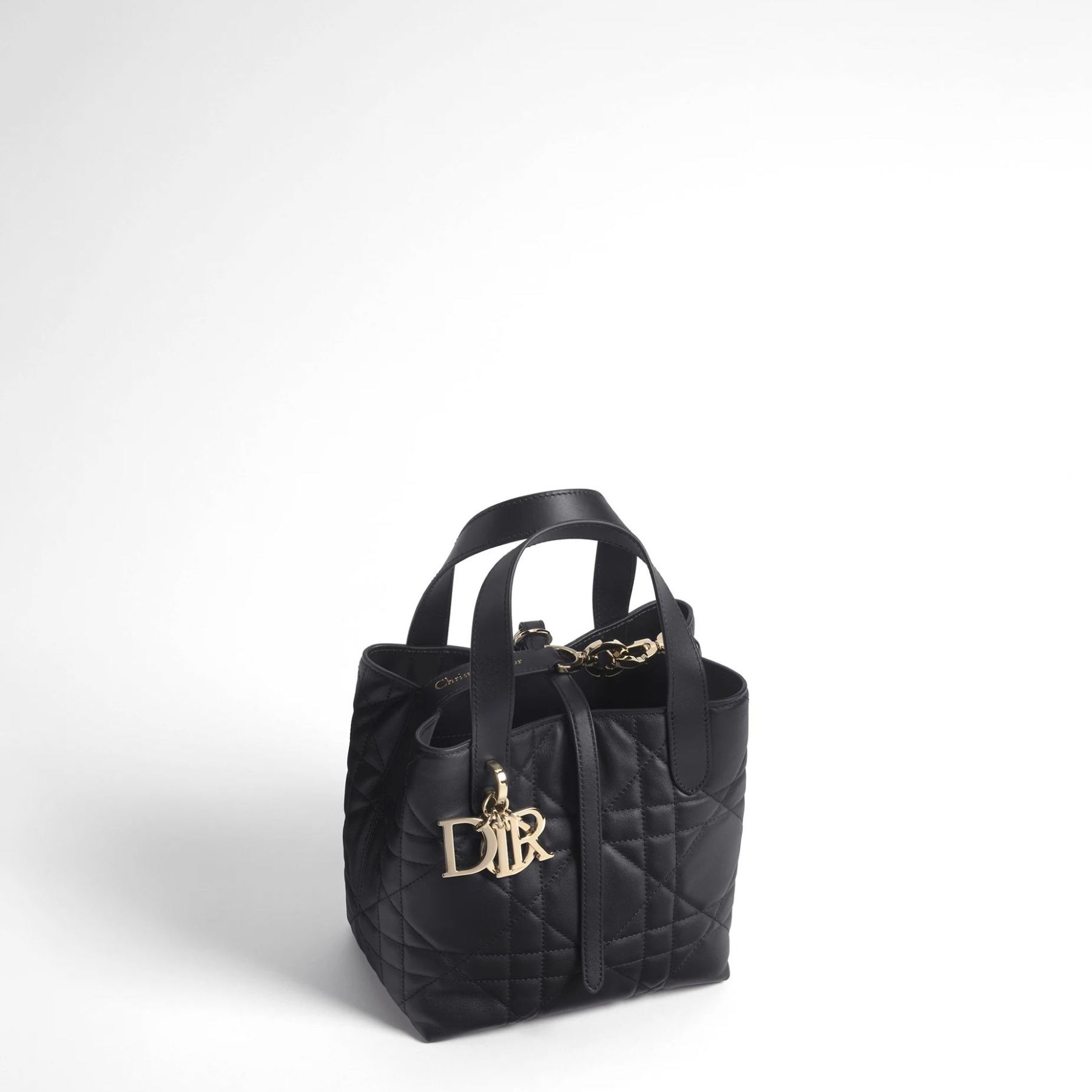 【大人気】Dior Toujours バーティカル トートバッグ スモール