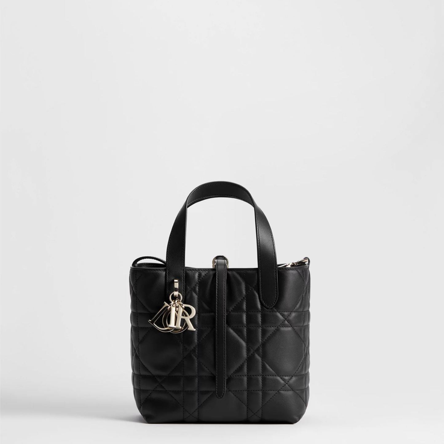 【大人気】Dior Toujours バーティカル トートバッグ スモール