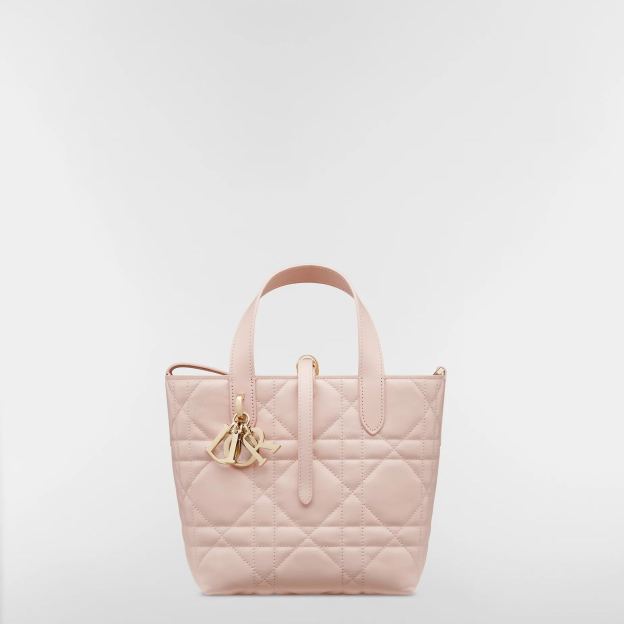 【大人気】Dior Toujours バーティカル トートバッグ スモール