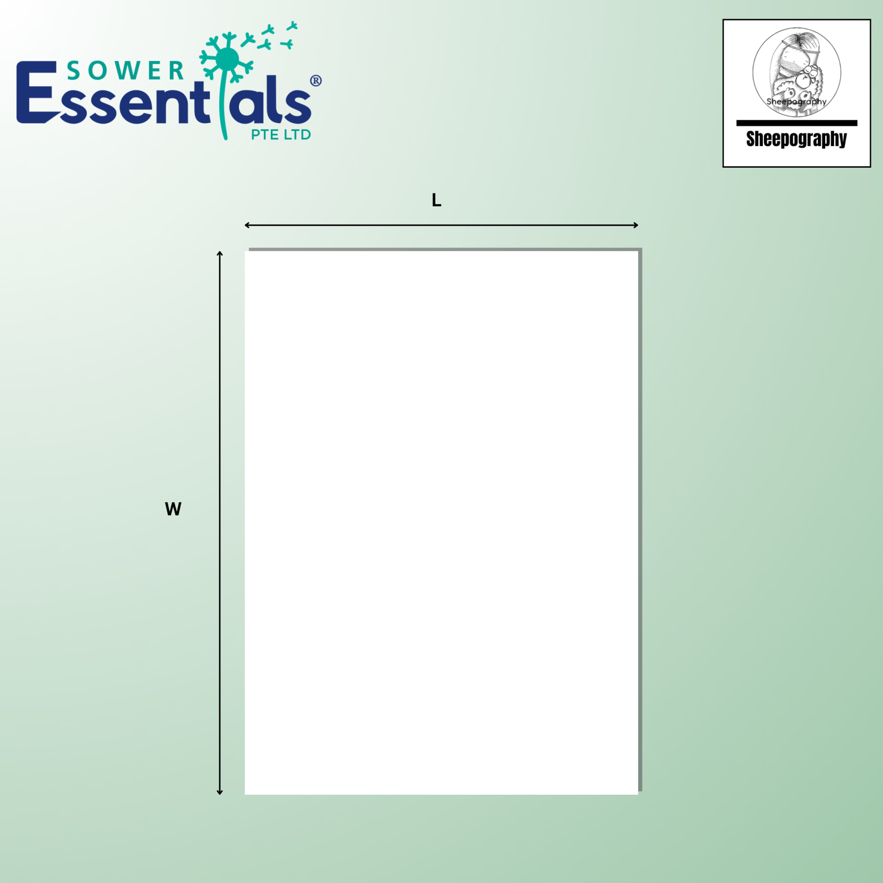 Sheepography Cards - Set of 7 pcs